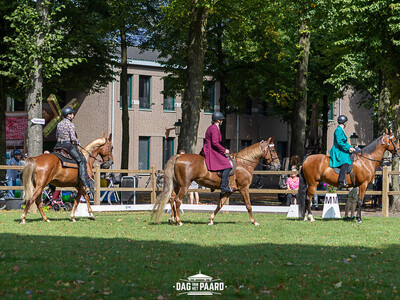 image copyright © ScootShoot Fotografie