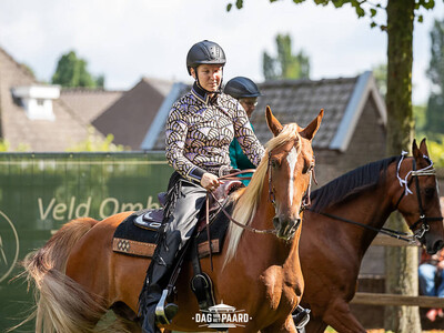 image copyright © ScootShoot Fotografie