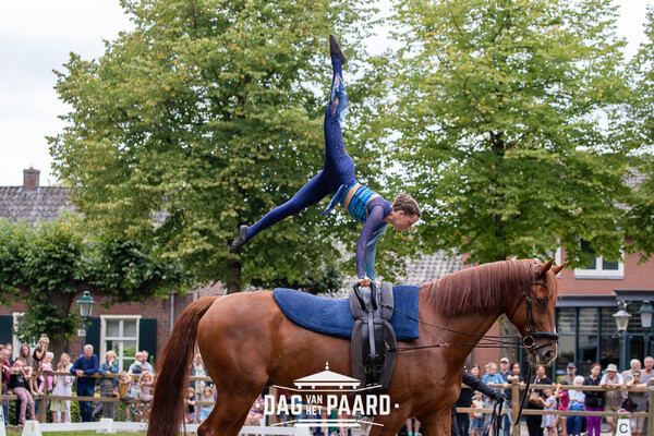 17-08-2025 - Dag van het Paard 