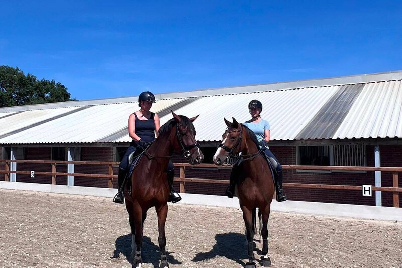 Dag van het Paard