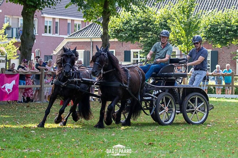 Dag van het Paard