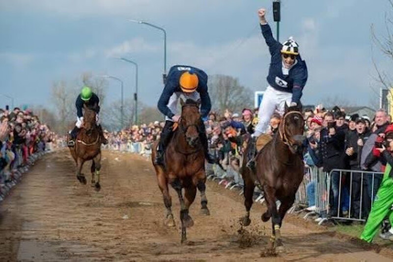 Dag van het Paard