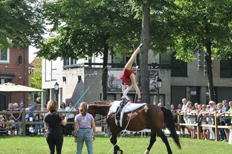 Dag van het Paard